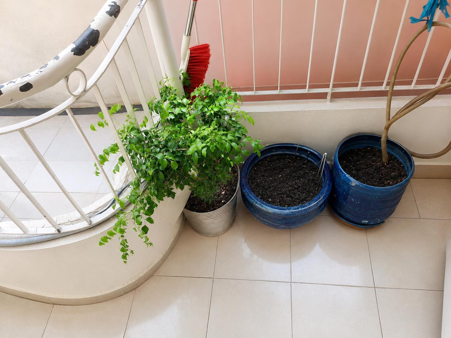 NHÀ MẶT TIỀN - ĐỖ TẤN PHONG, P.9, PHÚ NHUẬN - KINH DOANH, ĐANG CHO THUÊ 10TRTHÁNG - 29M² - 2 TẦNG - 4 TỶ (1)